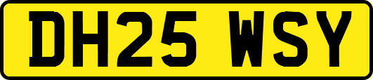 DH25WSY