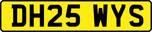 DH25WYS