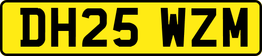 DH25WZM