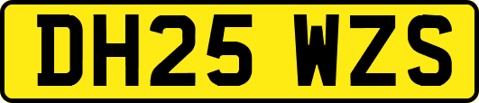 DH25WZS