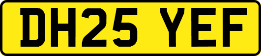 DH25YEF