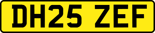 DH25ZEF