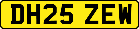 DH25ZEW