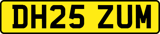 DH25ZUM