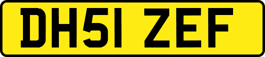 DH51ZEF