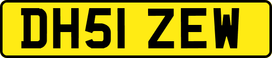 DH51ZEW