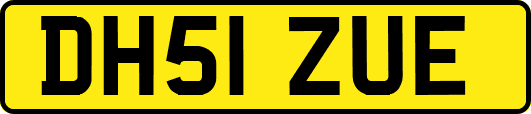 DH51ZUE