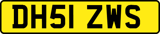 DH51ZWS