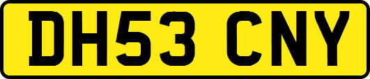 DH53CNY