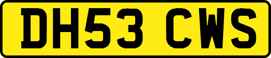 DH53CWS