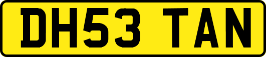 DH53TAN