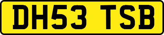 DH53TSB