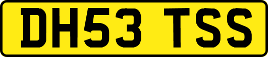 DH53TSS