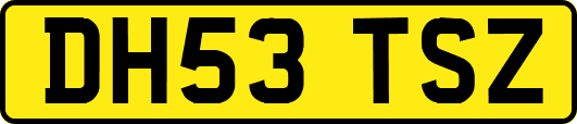 DH53TSZ