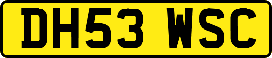 DH53WSC