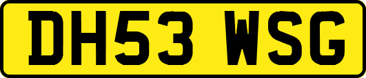 DH53WSG