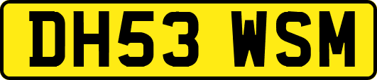 DH53WSM