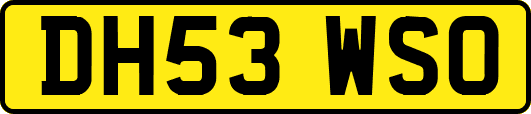 DH53WSO