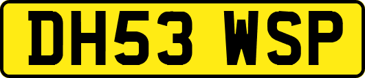 DH53WSP