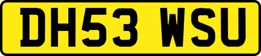 DH53WSU
