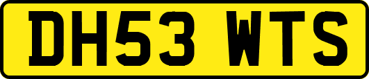 DH53WTS