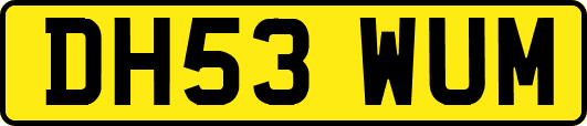 DH53WUM