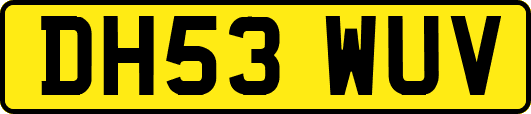 DH53WUV