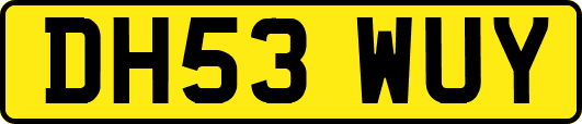 DH53WUY