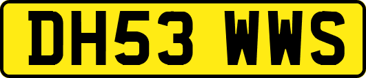 DH53WWS