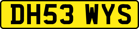 DH53WYS