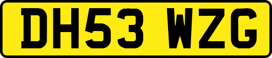 DH53WZG