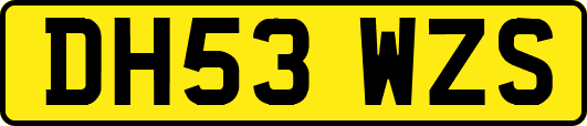 DH53WZS