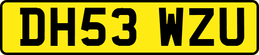 DH53WZU