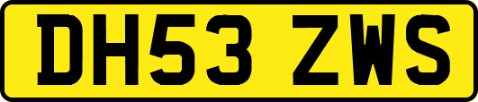DH53ZWS