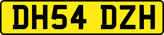DH54DZH