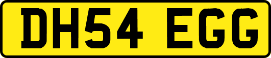 DH54EGG