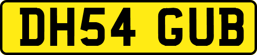 DH54GUB