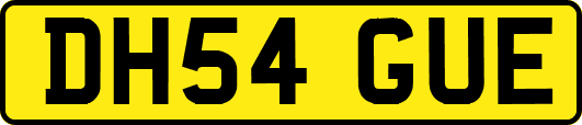 DH54GUE