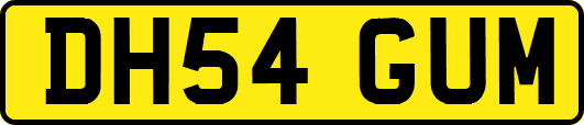 DH54GUM