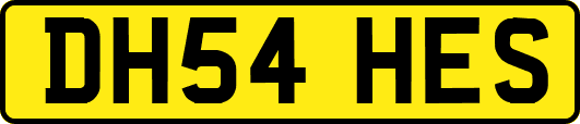 DH54HES