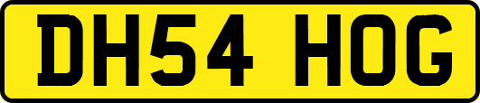 DH54HOG