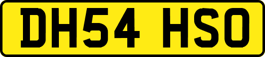 DH54HSO