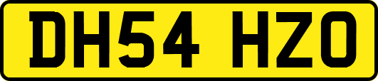 DH54HZO