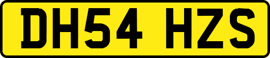 DH54HZS