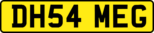 DH54MEG
