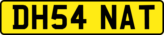 DH54NAT
