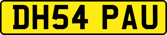 DH54PAU