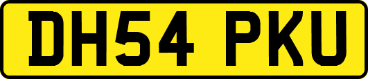DH54PKU