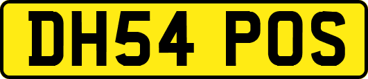 DH54POS