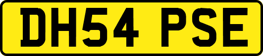 DH54PSE